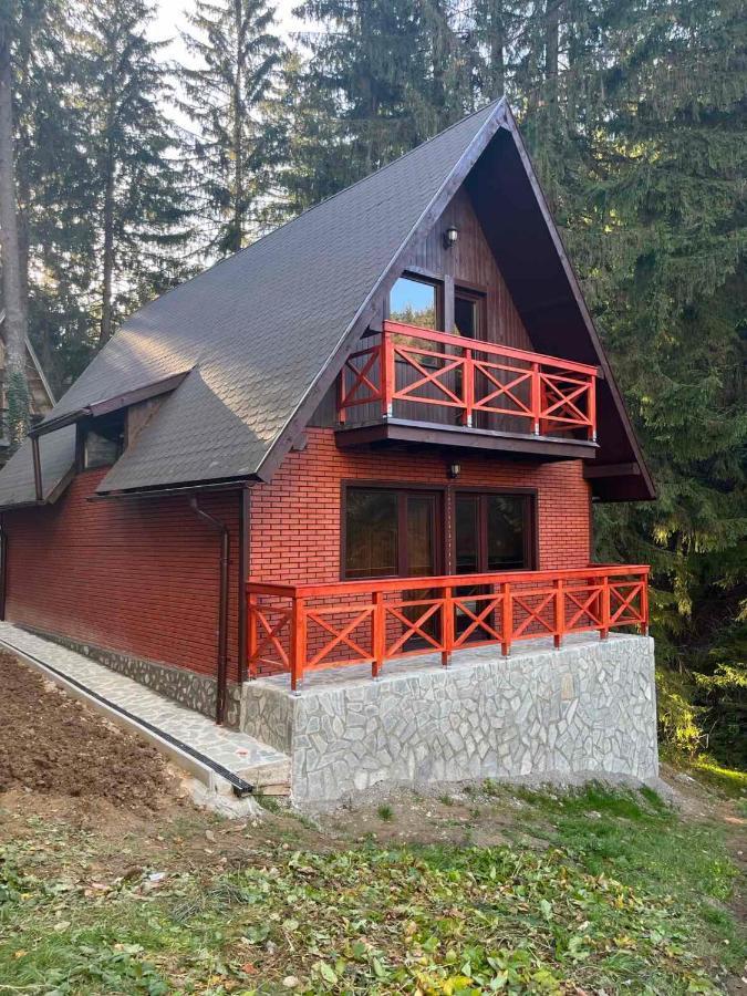 Casa Familiei Villa Braşov Eksteriør bilde